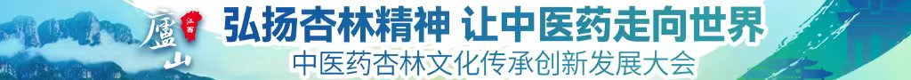 大肌巴色色美女逼中医药杏林文化传承创新发展大会